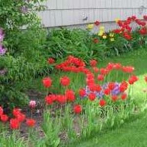 Meet your Posher, Peg